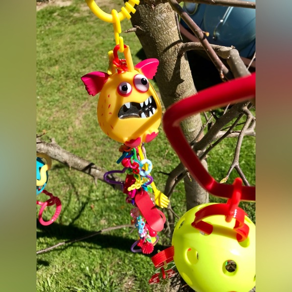 Lot Small Pet Hanging Enrichment Sugar Glider Toys Extra Hanging Clips - Picture 9 of 12